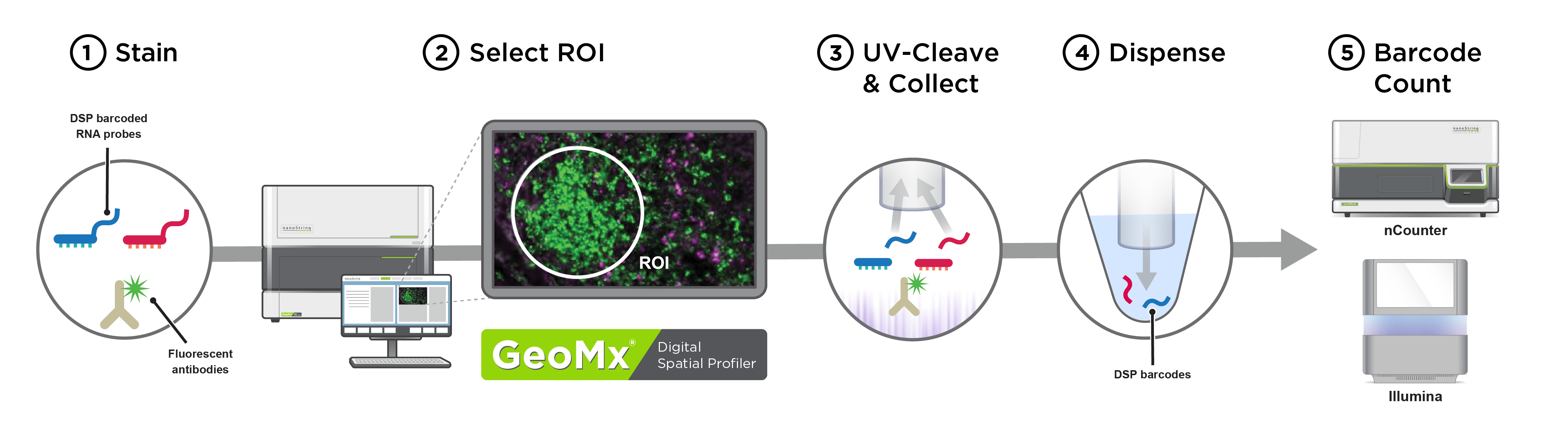 NanoString | NeoGenomics Laboratories